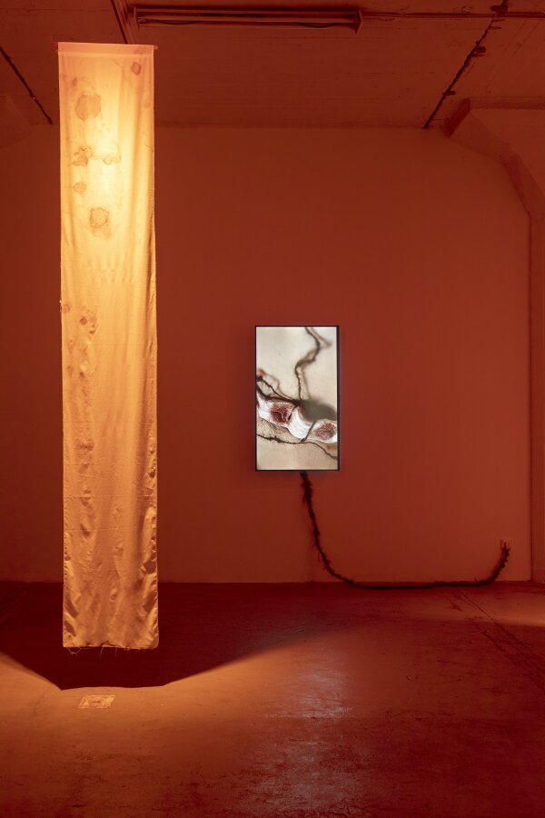 Spheres of Intimacy, Pragovka gallery 2023, photo Marcel Rozhoň